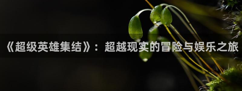 风车动漫在线看手机版