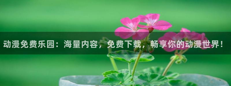 全职法师风车动漫