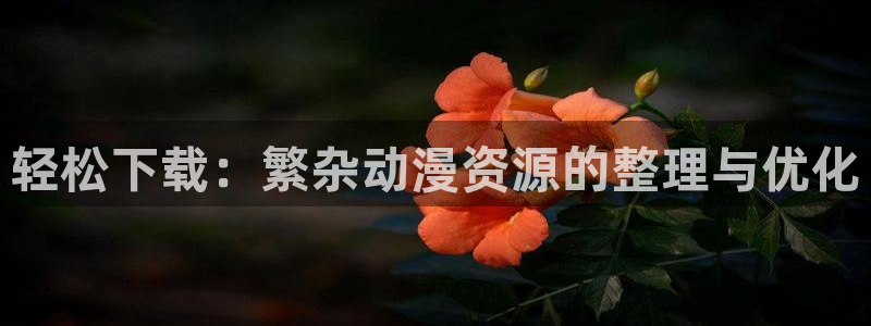 风车动漫官网上